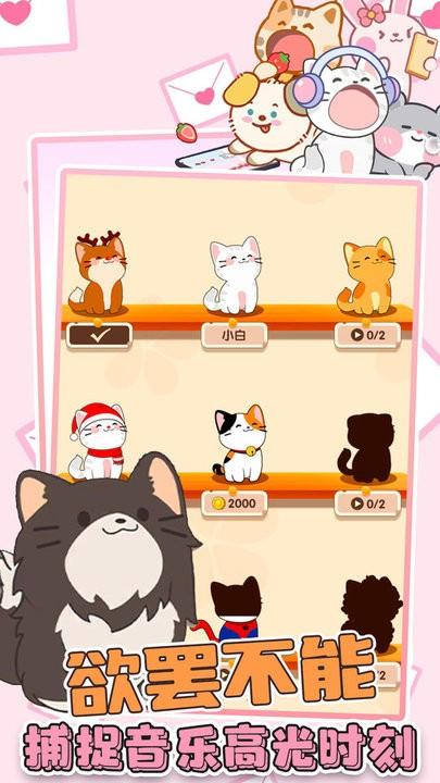 猫咪音游二重奏最新版下载,猫咪音游二重奏,弹奏游戏